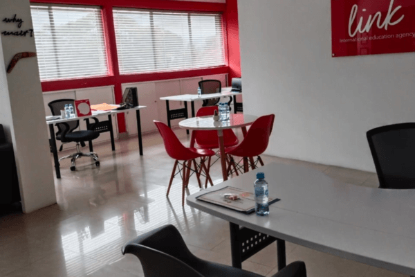 Franquicia Link International Agency